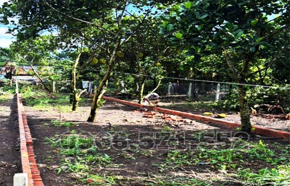 NGAY NGÃ 3 ÔNG PHÚC, P BẢO VINH, ĐN | 5M×24,8M, SỔ RIÊNG, FULL THỔ CƯ | GIÁ ĐẦU...